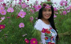 豪车标志图片大全